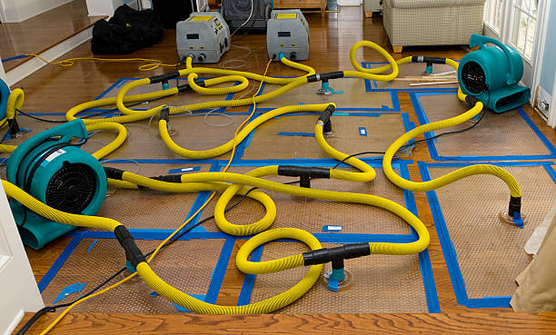 Professional Sewage Cleanup technician working in Holualoa, HI